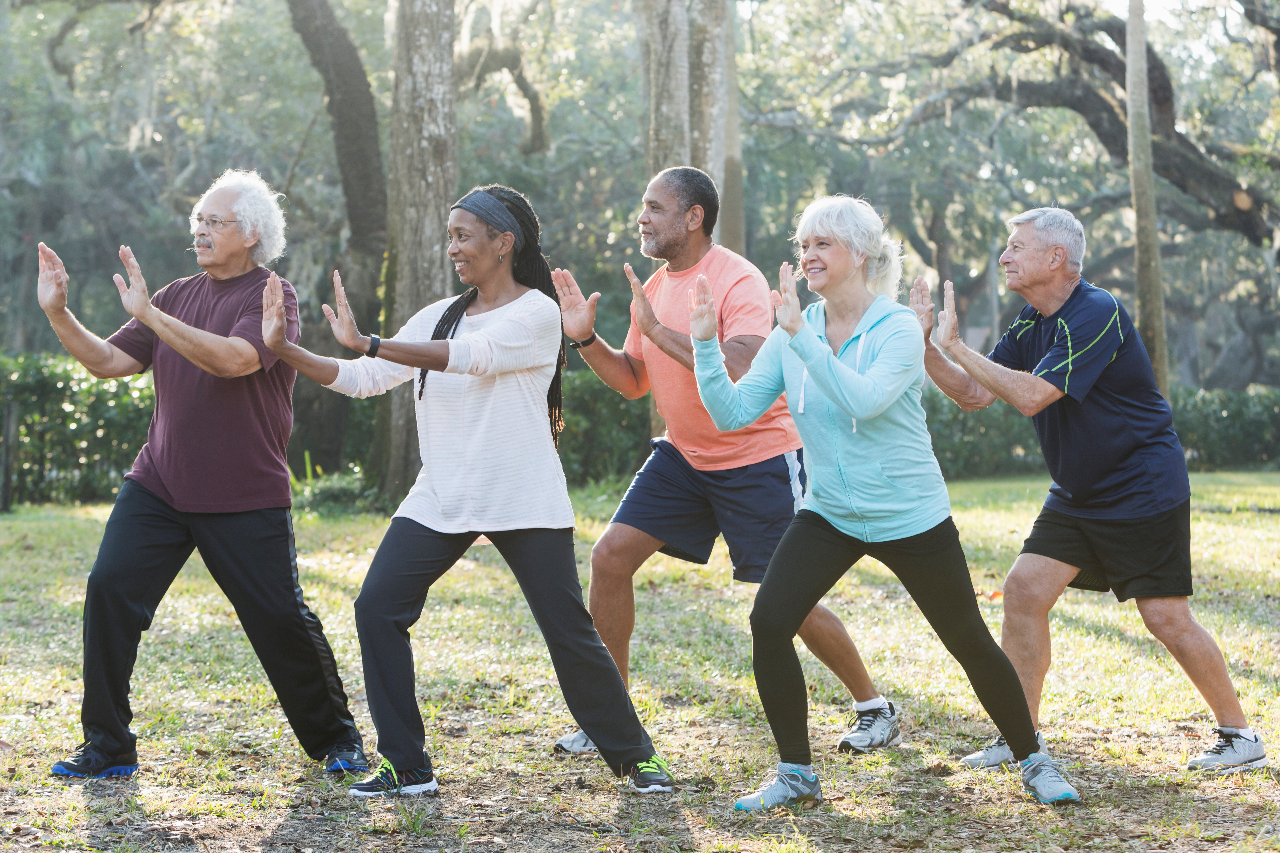 people doing tai chi in the park